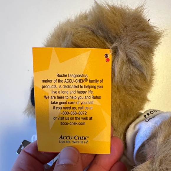Rufus - The Bear with Diabetes - Picture 8 of 9